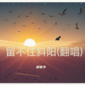 郑家华 - 留不住斜阳