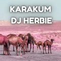 DJ Herbie - karakum