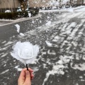 秋刀鱼不会过期 - 感谢你也曾爱过我