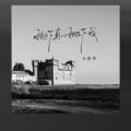 王超然 - 抛下真心抛下我
