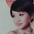 杨蕾骏 - 玻璃窗的爱
