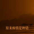 原来痴情是种错