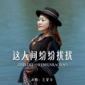 王爱华 - 这人间纷纷扰扰