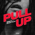 Pull Up (feat. Bryson Tiller) (Explicit)