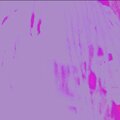 $DG、Stacy Griffin、IIIMGHOST - WantMeBack (Explicit)