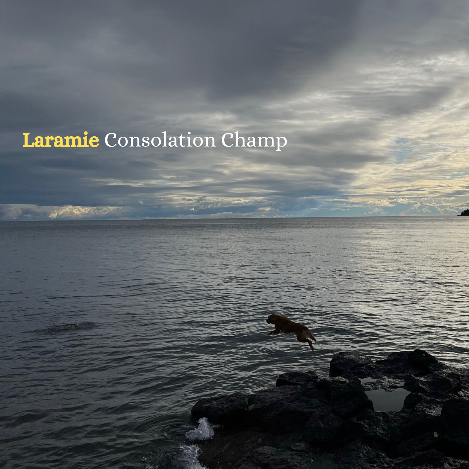 Consolation Champ - Laramie