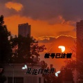 账号已注销 - 自由且浪漫的活着