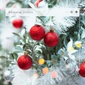 Christmas 2021 Hits - Snowy Christmas: The Twelve Days of Christmas
