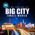 Big City Small World (feat. DFD Baby Lee)(Explicit)