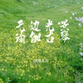 无边光景瑜伽古琴