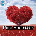 Orquesta La Grande - Delincuente