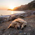 deltacromática、Sonidos costeros、Musicoterapia para el cuidado de mascotas mascotas tranquilas - Colas Oceánicas Miran Con Deleite