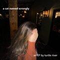 Turtle River - jersey giant
