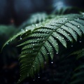 cleanmindsounds - Melancholy All Around