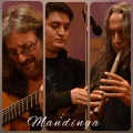 Libertango (Instrumental Versions)