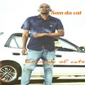 Da Cat、Zinhle - Ujames (feat. Zinhle)