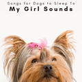 4 Dogs: My Girl Sounds