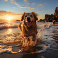 Ruidos agradables de cuencos despreocupados、Ambiente de calma、Música de relajación para perros - El Ruido Blanco Calma El Ladrido
