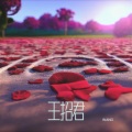 王老师 - 王招君