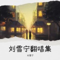 刘雪宁 - 又在人间活了一天-翻唱版