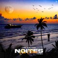 Liuw Lyon、Dlsz - Noites em Claro