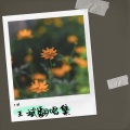 王斌 - 你是陪我风雨的人