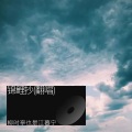 柳时亭亭亭 - 锦鲤抄
