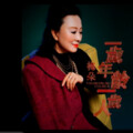 丰盈 - 一岁年龄一岁人
