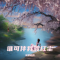 优愁的风 - 谁可伴我渡红尘