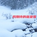 我期待的就是雪