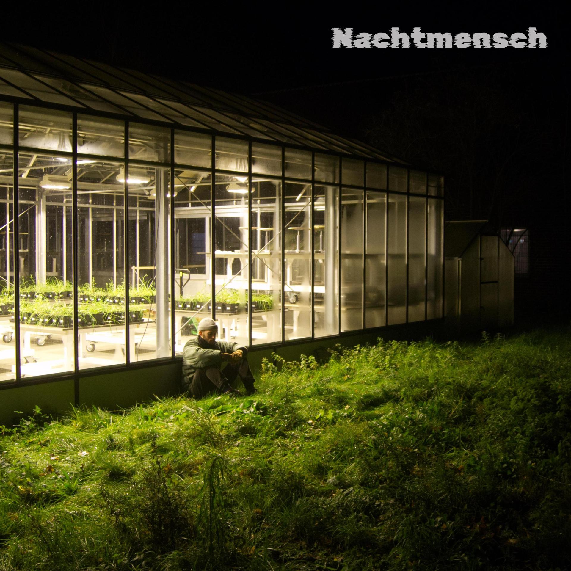Nachtmensch (Explicit)