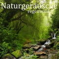 Entspannungsmusik、Das Natur-Orchester von TraxLab - Murmeln des wassers, Teil 08 (2024 Remaster)