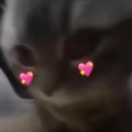 Cour - CHIPI CHIPI CHAPA CHAPA