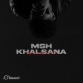Mesh Khalsana (Explicit)