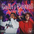 ALION - Calle y Barras
