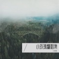 小玫瑰、张三疯 - 那么爱你为什么