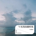 午夜漫曲 - 难念的经