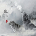 晚卿霖雨桥 - 狼