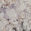 Han22 - If