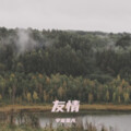 宇宙星光 - 偷心