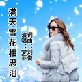 满天雪花相思泪 (女版)