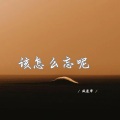 该怎么忘呢 (深情女生版)