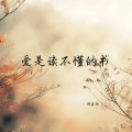 爱是读不懂的书 (1.1加速版)