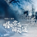 喝着雪花闯天涯 (DJ九零版)