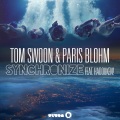 Tom Swoon、Paris Blohm、Hadouken! - Synchronize