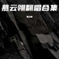慕云翎 - 悲伤的爱情
