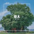 逗逗一米八 - 爱人错过 (吉他女声)