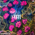 Chuck Die$el、Själ - 1111 (feat. Sjal)(Explicit)