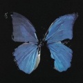 于梓贝 - Hrs & Hrs