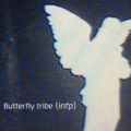 Butterfly tribe (infp)